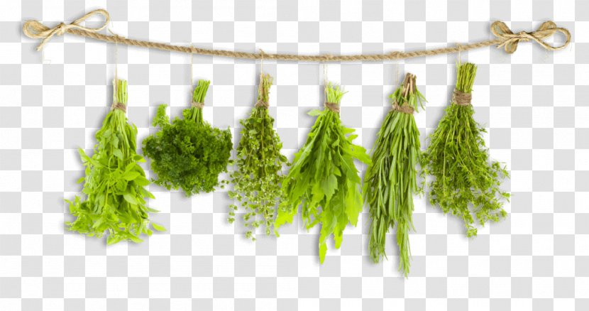 Herb Food Breakfast Oregano Health Transparent PNG