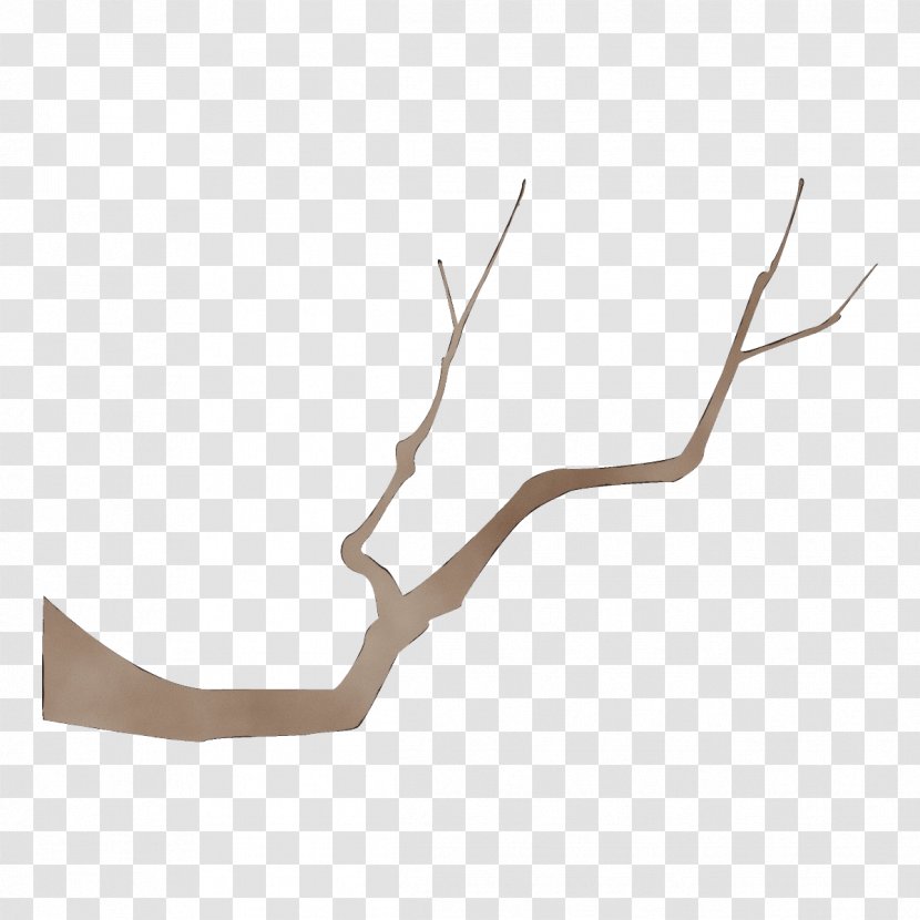 Branch Twig - Paint Transparent PNG