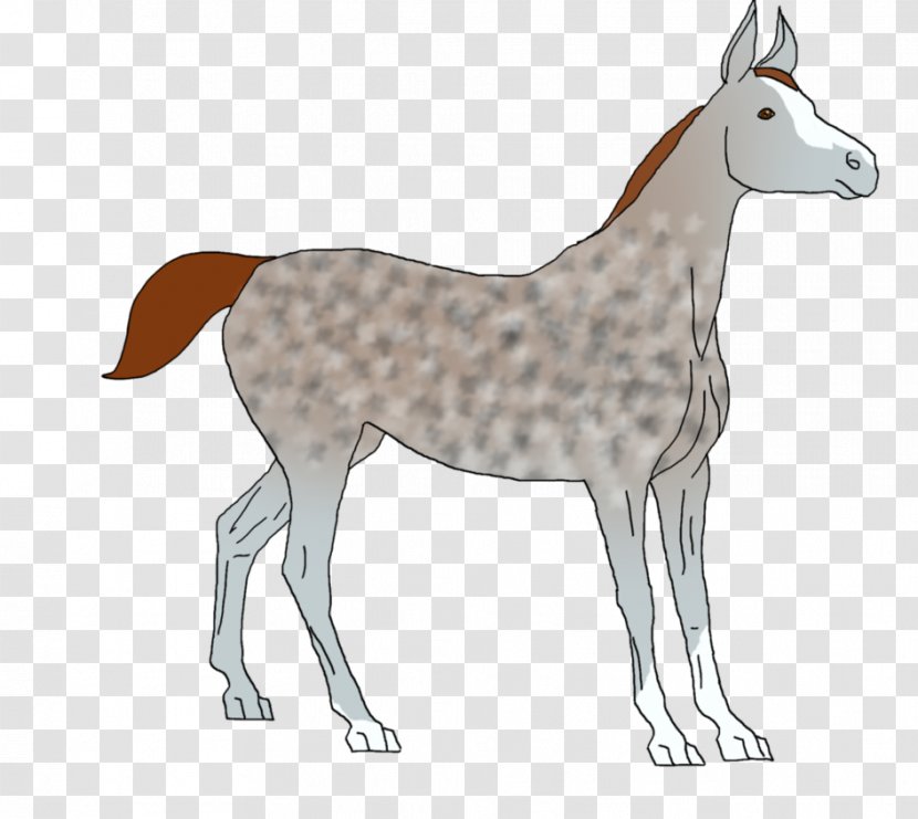 Mule Dog Breed Foal Mustang Donkey - Wildlife Transparent PNG