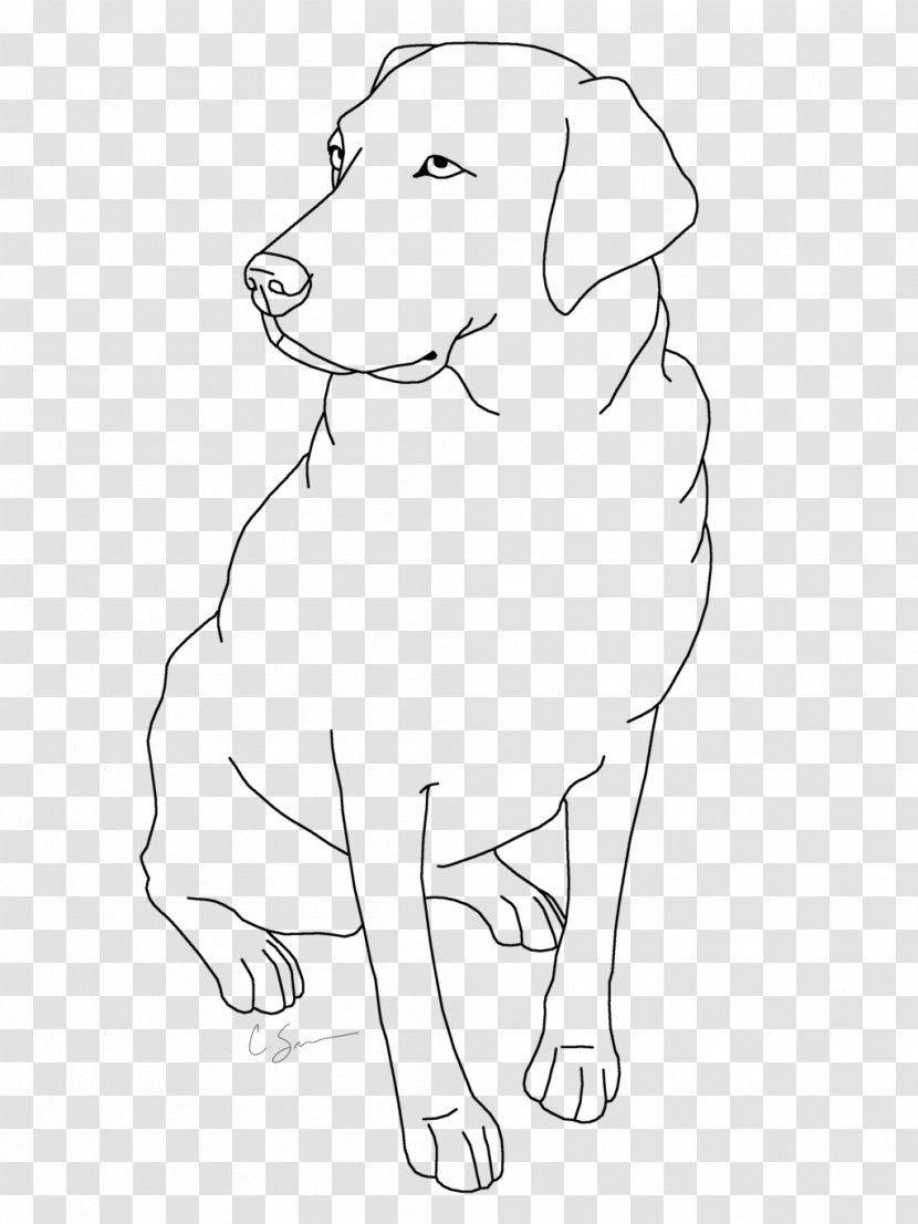 Golden Retriever Background - Drawing - Tail Pointing Breed Transparent PNG