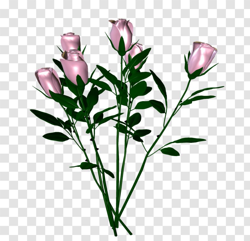 Painting Cut Flowers Tulip Image - Flowering Plant Transparent PNG