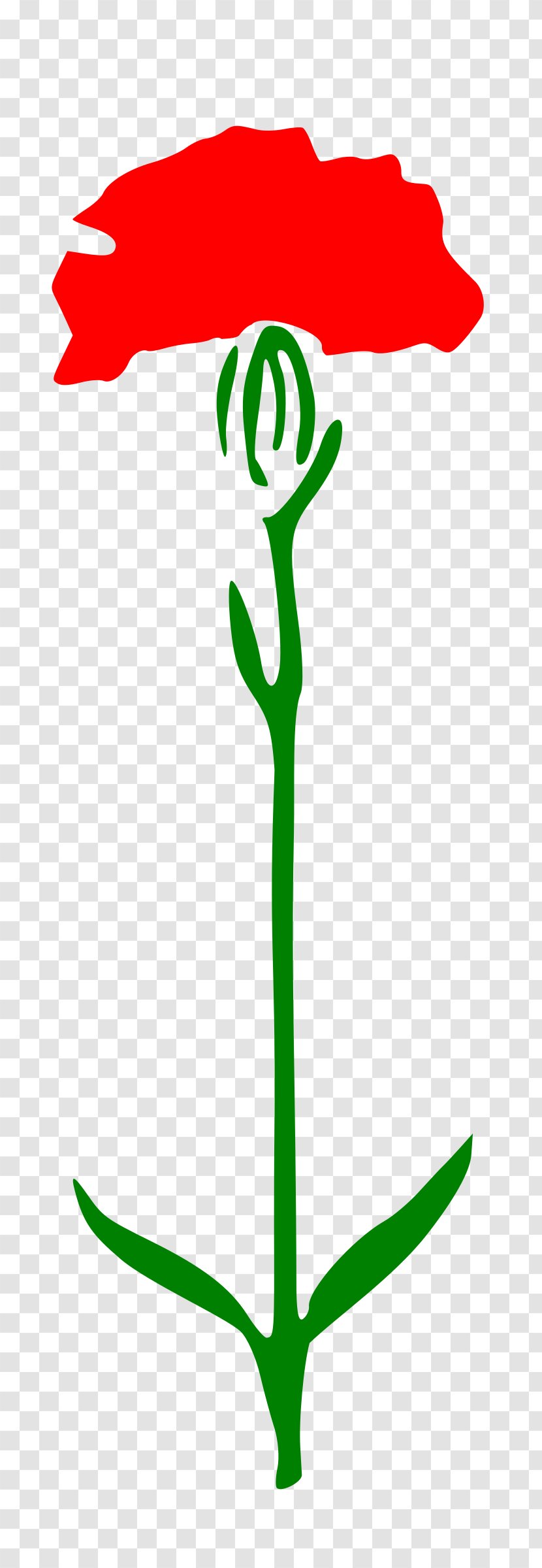 Carnation Clip Art - Libreoffice - CARNATION Transparent PNG