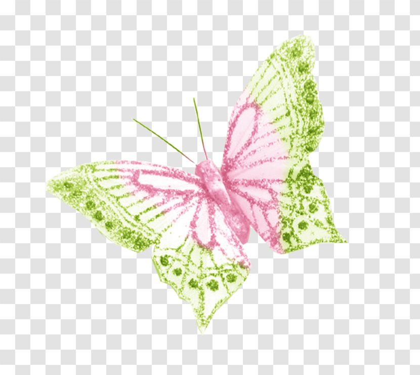 Image Brush-footed Butterflies Design Butterfly - Brushfooted - Leaf Swag Transparent PNG