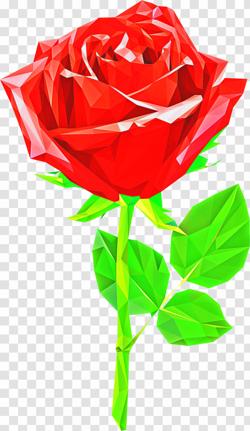 Garden Roses Transparent PNG