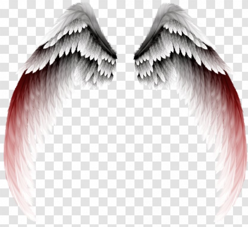 Photography Clip Art - Lip - Gradient Angel Wings Transparent PNG