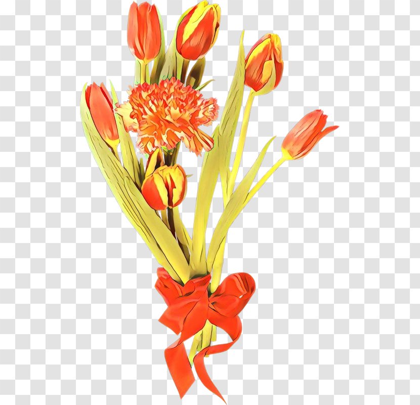 Flower Cut Flowers Plant Tulip Pedicel - Stem Petal Transparent PNG