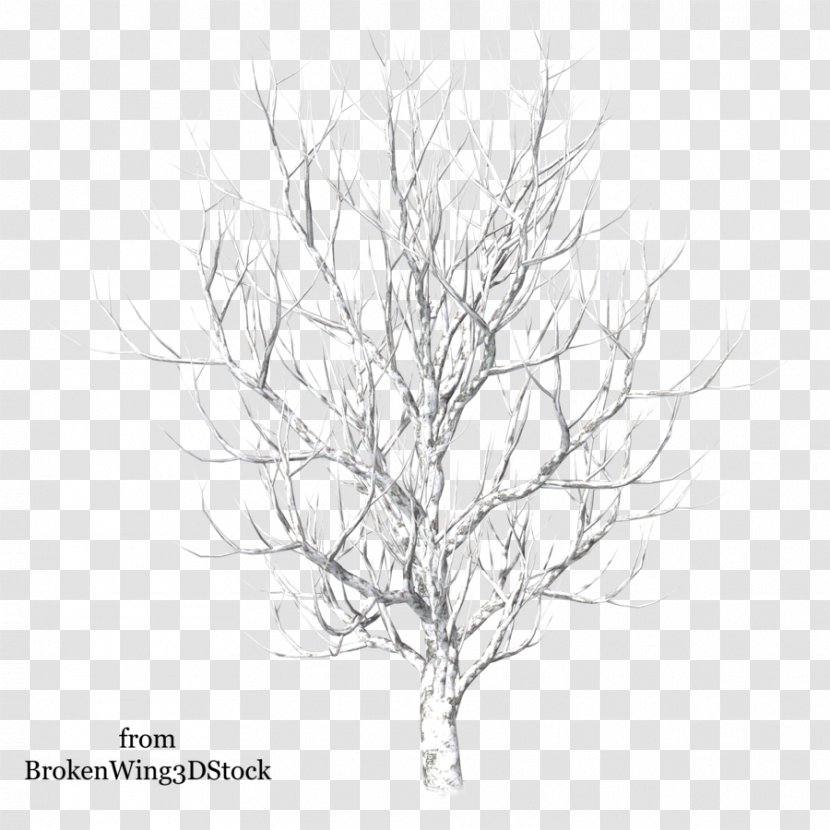 Winter Tree Drawing Snow - Line Art - Twigs Transparent PNG