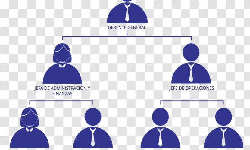 Organizational Chart Empresa Business Structure - Strategy Transparent PNG