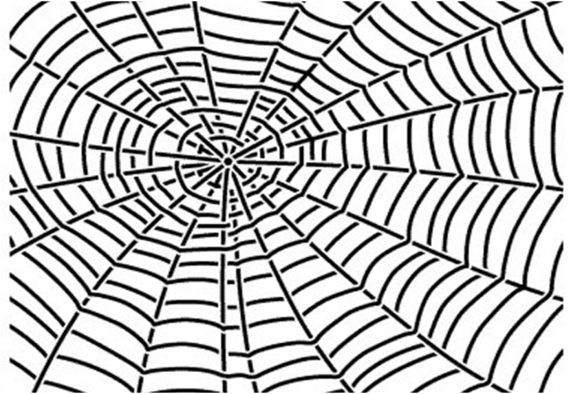 Spider Web Animation Clip Art - Pixabay - Cobweb Clipart Transparent PNG