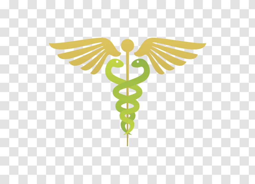 Medical Cannabis Shop Dispensary Health Care - Symbol Transparent PNG