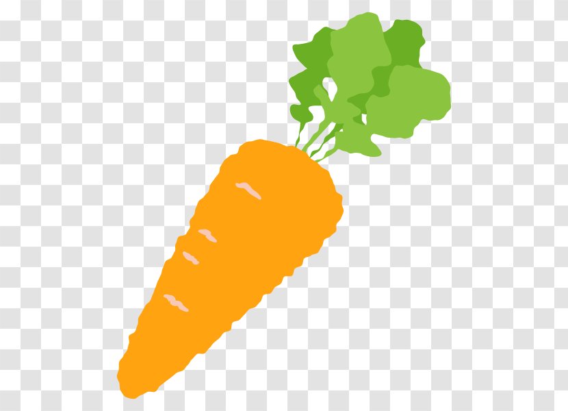 Carrot Vector Graphics Illustration Vegetable Image - Organism Transparent PNG