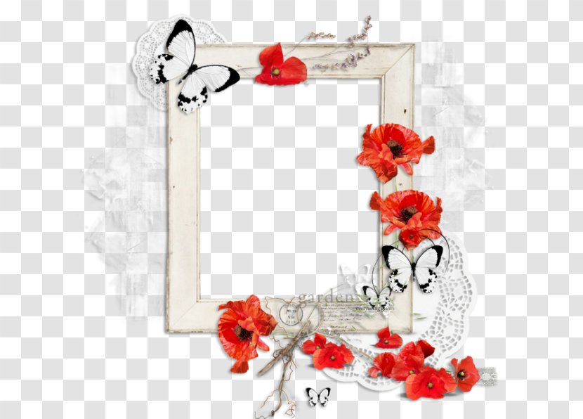 Floral Design Cut Flowers Rose Family Picture Frames Transparent PNG