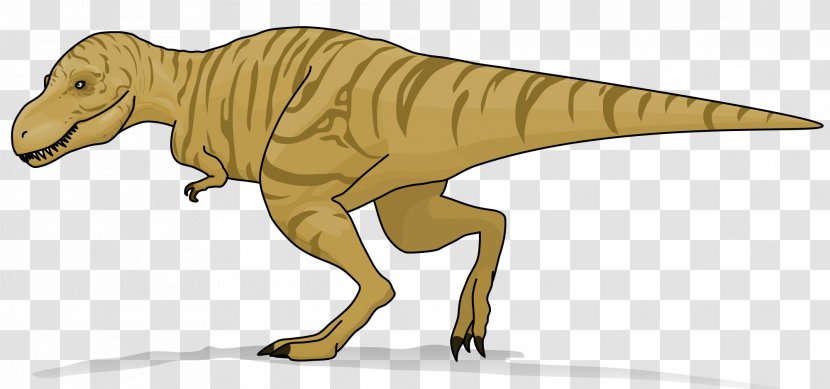 Tyrannosaurus Triceratops Velociraptor Tyrannosauridae Dinosaur - Organism - T Rex Transparent PNG