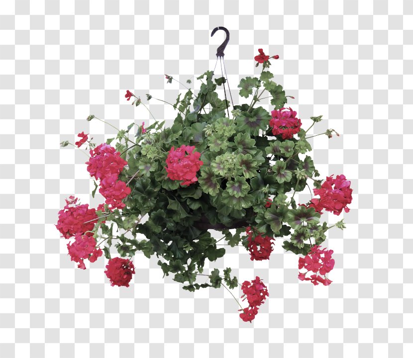 Garden Roses - Pink - Petal Petunia Transparent PNG