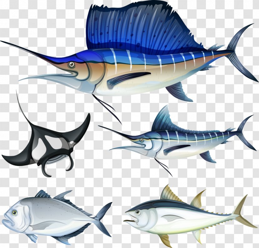 Fish Hook Illustration - Adobe Creative Cloud - Vector Seabed Transparent PNG