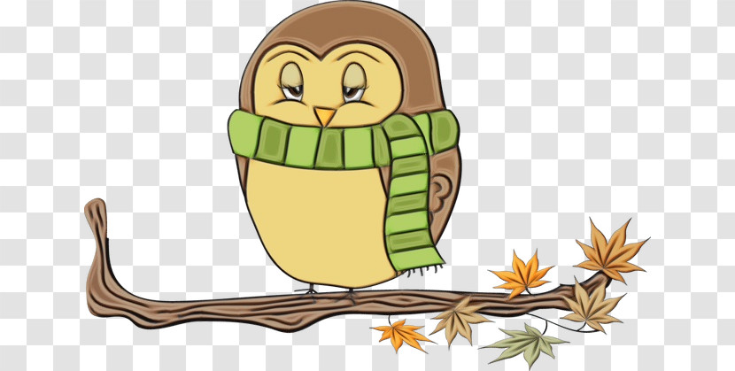 Owls Birds Beak Cartoon Bird Of Prey Transparent PNG