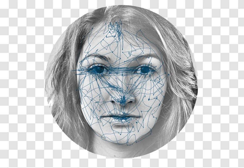 Forehead Drawing /m/02csf Jaw - Face Recognition Transparent PNG