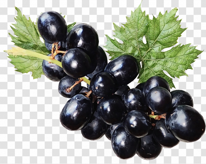 Grape Zante Currant Blueberry Vegetarian Cuisine Bilberry Transparent PNG