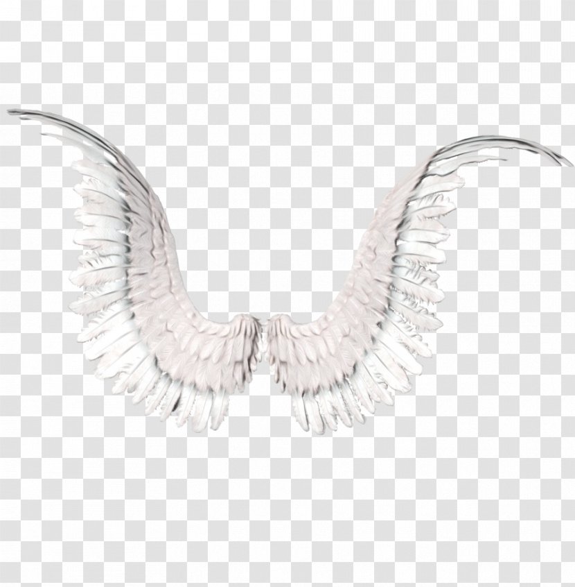 Feather - Wing - Ear Transparent PNG
