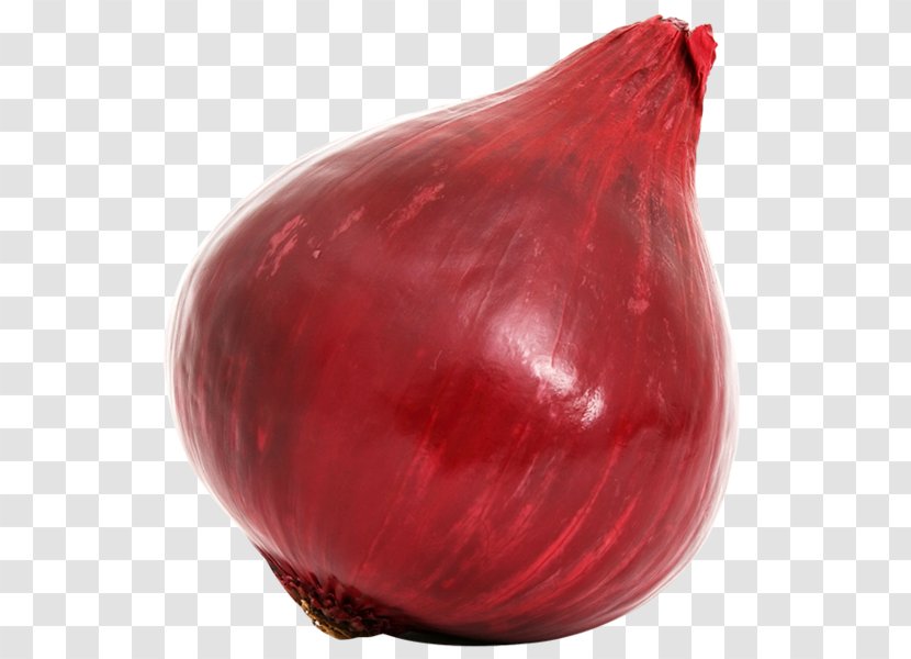 Onion Ring Hamburger Vegetable Red - Allium Transparent PNG