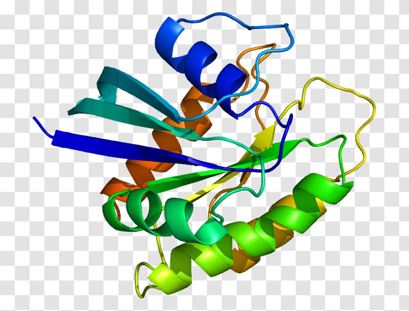 Neuroblastoma RAS Viral Oncogene Homolog Ras Subfamily Protein KRAS - Flower - Frame Transparent PNG