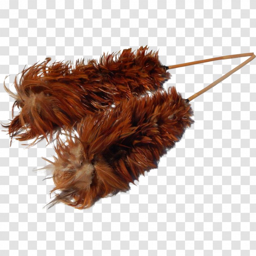 Feather Duster Dammtorkning Fur Handle - Walking Stick - Feathers Transparent PNG