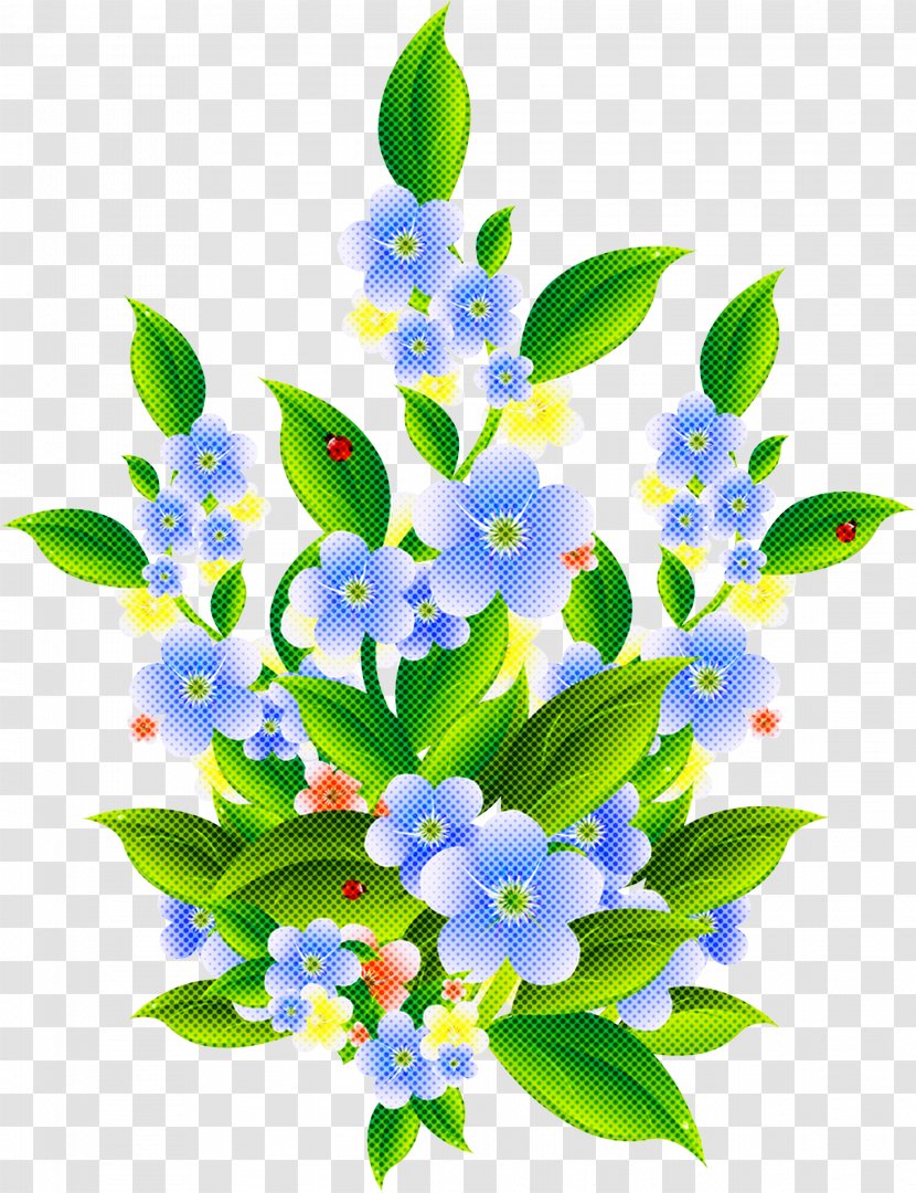 Flower Blue Plant Forget-me-not Flowering - Branch - Bouquet Petal Transparent PNG