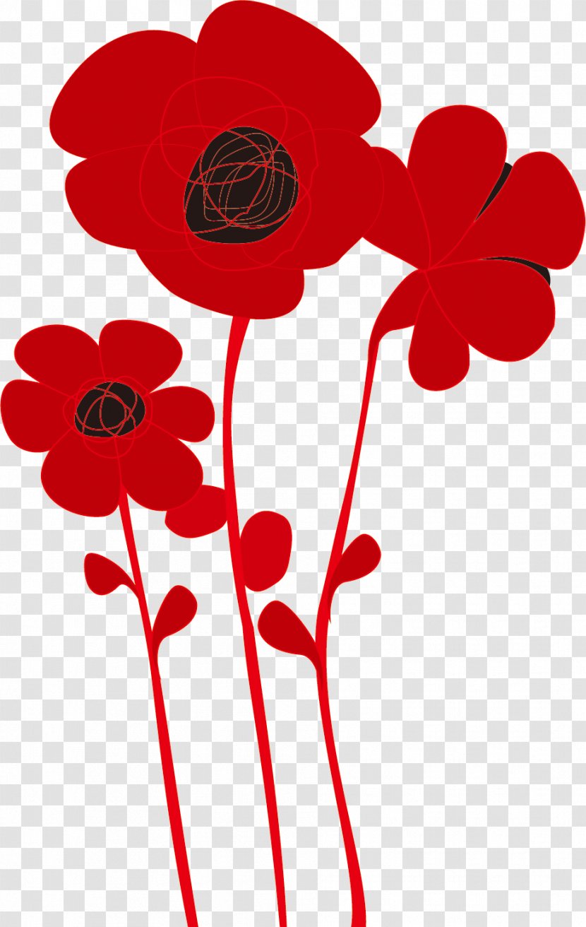Common Poppy - Drawing Transparent PNG
