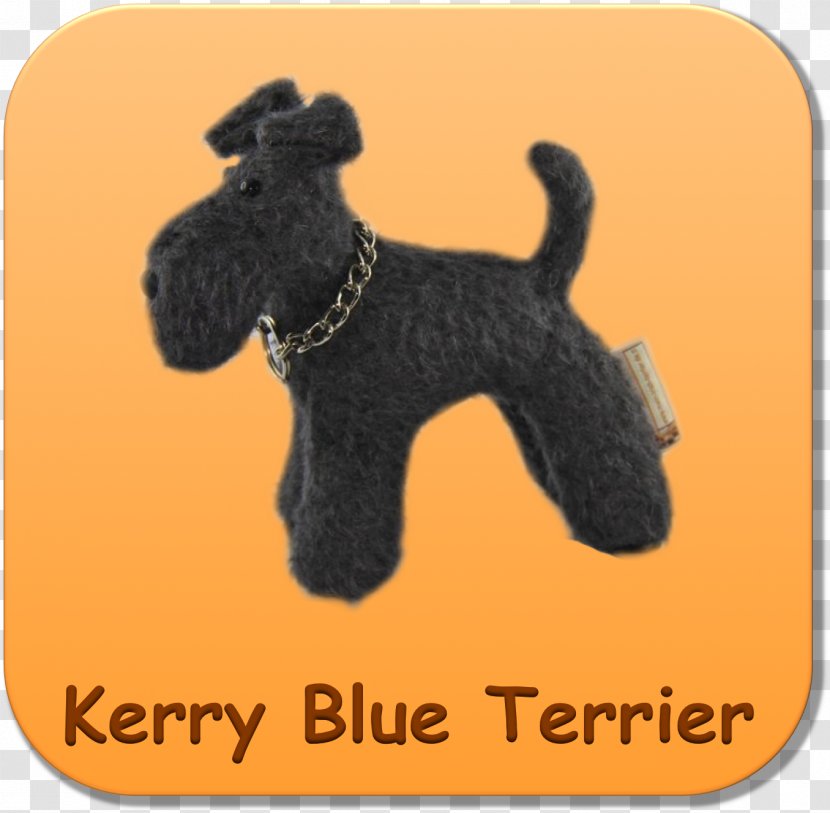 Dog Breed Lakeland Terrier Kerry Blue Welsh Pumi - Carnivoran - Irish Transparent PNG