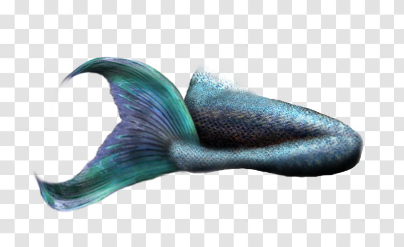 Mermaid Tail - Monofin - Kneeling Dark Green Transparent PNG