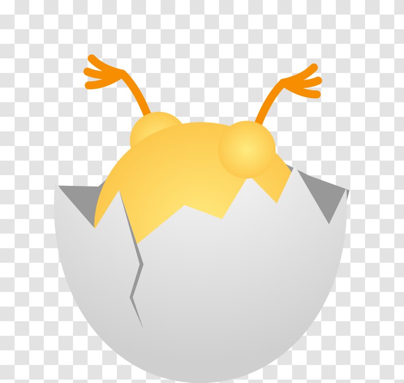 Chicken Clip Art - Fruit - Cute Cartoon Chick Egg Shell Eggs Broken Transparent PNG