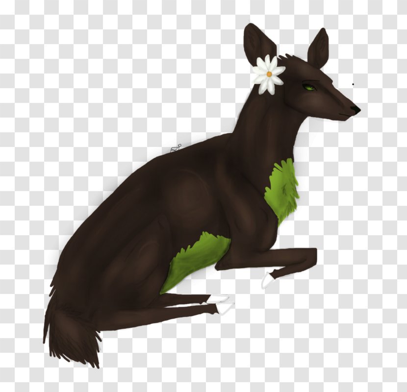 Macropodidae Horse Mammal - Like - Hair Forest Transparent PNG