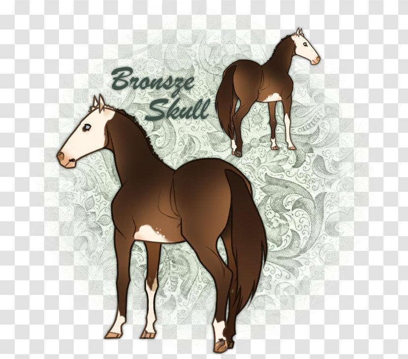 Mustang Foal Stallion Colt Mare - Horse Tack Transparent PNG