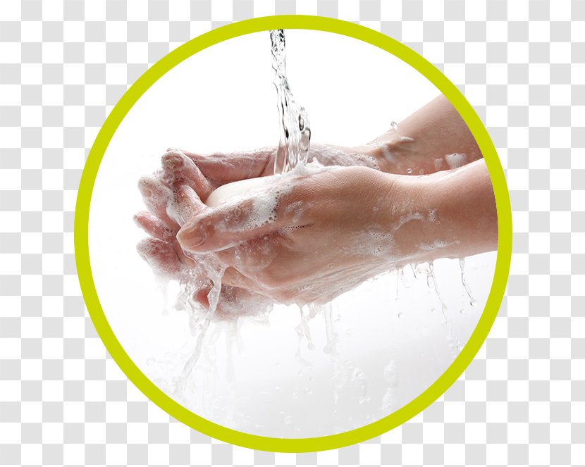 Hand Washing Soap Cleaning - Tree Transparent PNG