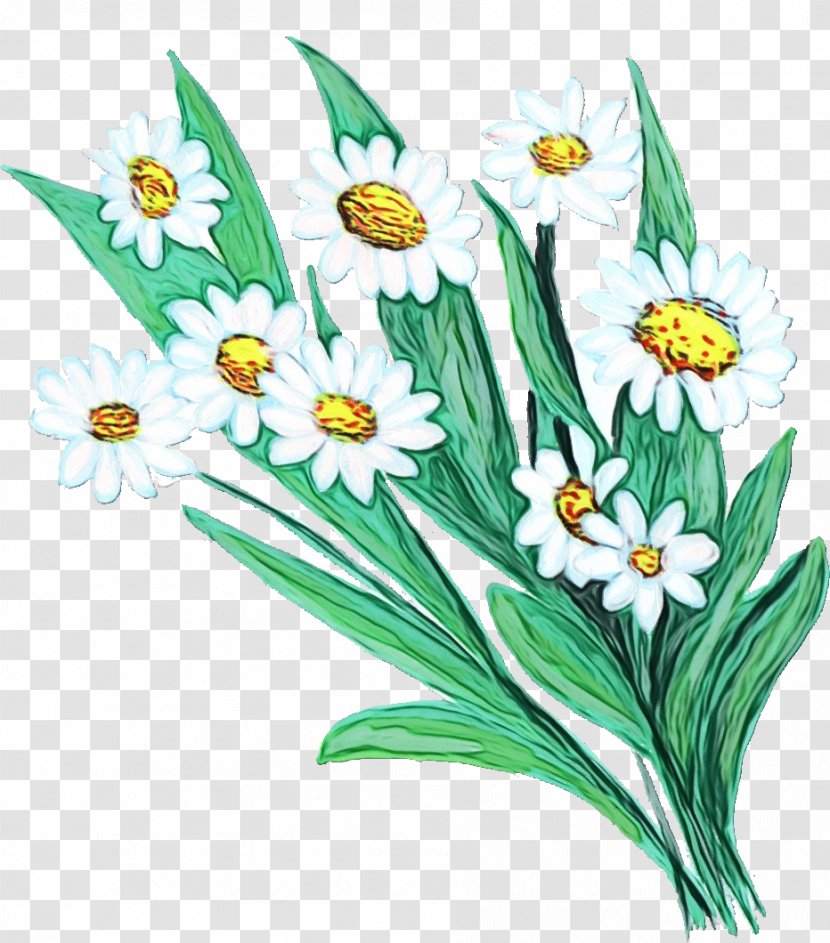 Clip Art Illustration Narcissus Herbaceous Plant Stem - Fiction - Plants Transparent PNG