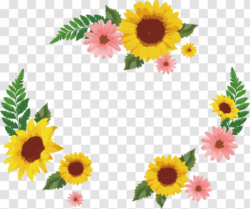 Common Sunflower Euclidean Vector Icon - Daisy Decorative Box Transparent PNG