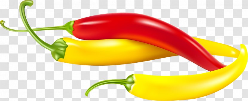 Capsicum Annuum Chinense Chili Pepper Vegetable - Bell - Hand-painted Colorful Transparent PNG