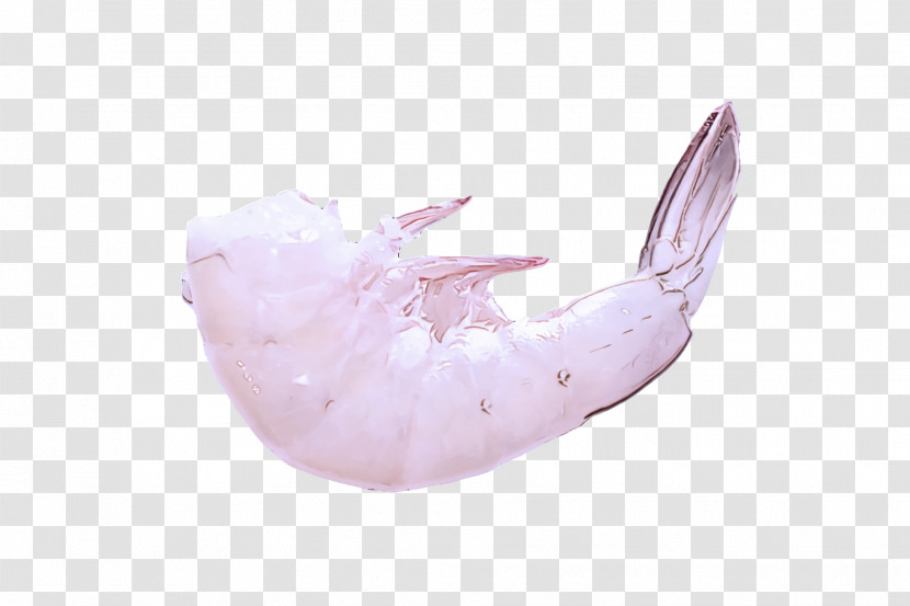 Lilac M Transparent PNG