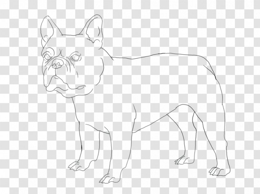 French Bulldog Puppy Dog Breed Non-sporting Group Transparent PNG
