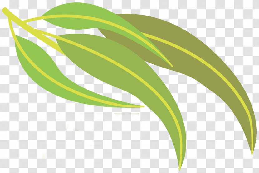 Leaf Food Plant Stem Transparent PNG