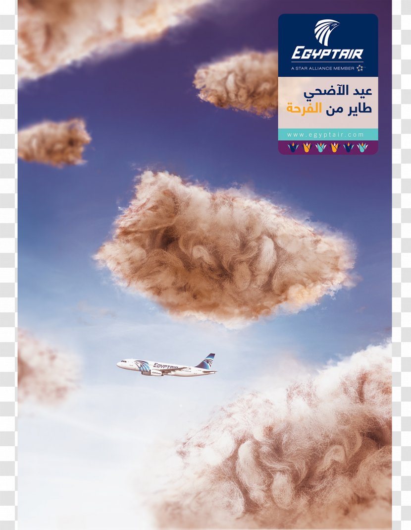 Sky Plc Font - Silhouette - Eid Al Adha 2017 Transparent PNG