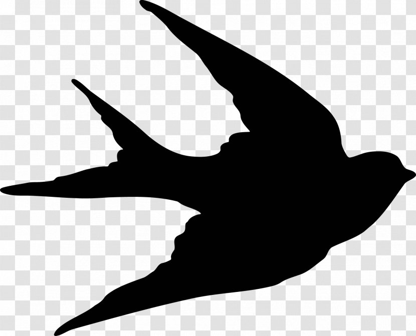 Bird Sparrow Swallow Silhouette Clip Art - Drawing Transparent PNG