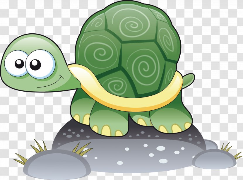 Turtle Cartoon Drawing - Vector Transparent PNG