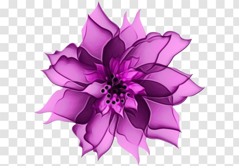 Dahlia Cut Flowers Purple Petal Graphics - Plant Transparent PNG