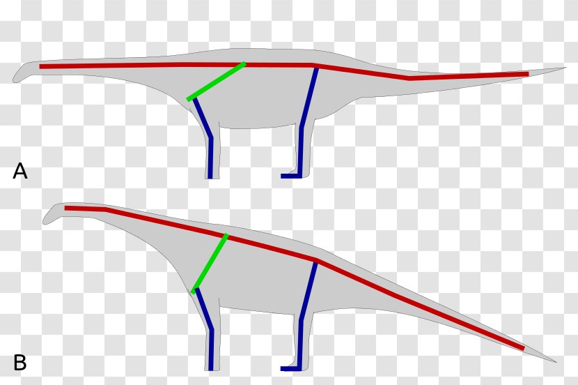 Opisthocoelicaudia Diplodocus Brachiosaurus Gobi Desert Late Cretaceous - Point - To Stand Army Posture Transparent PNG