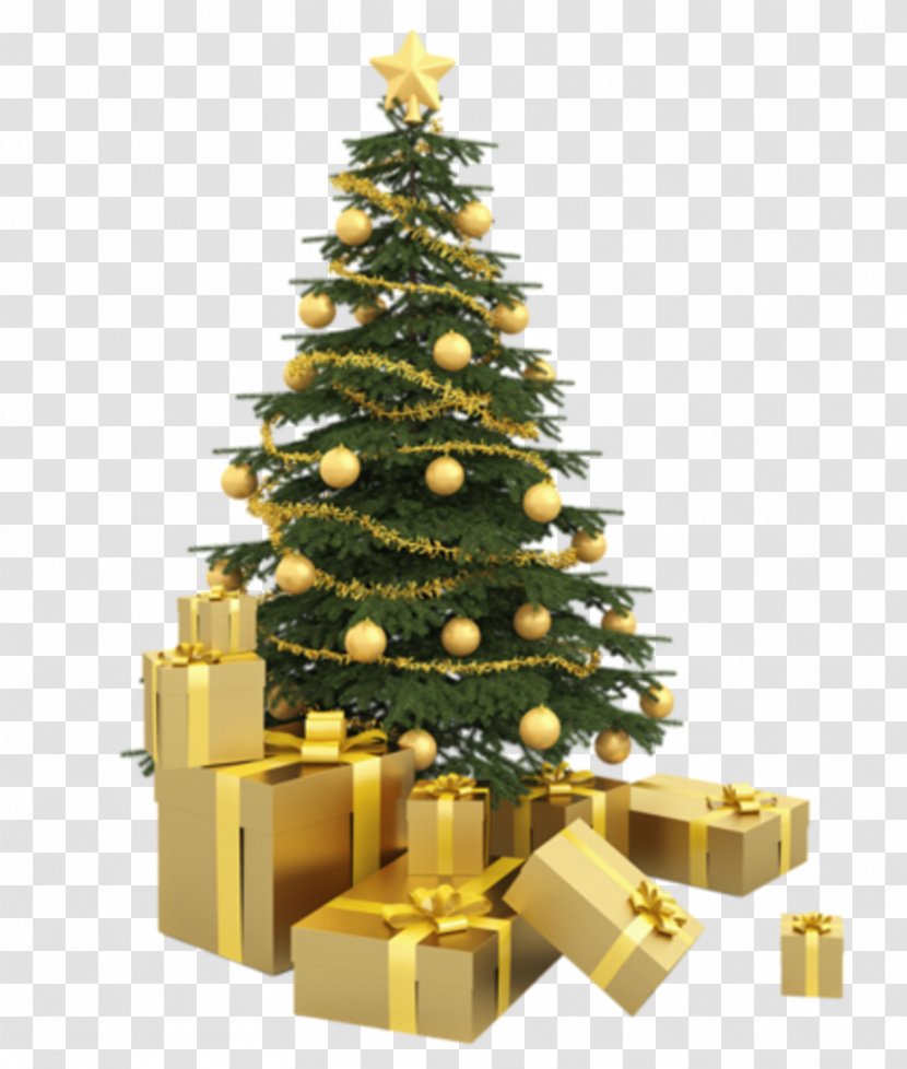 Christmas Tree Ornament Stock Photography - Conifer Transparent PNG