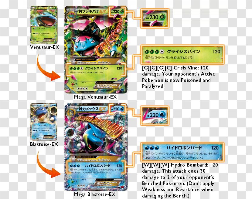 Pokémon X And Y Venusaur Blastoise Charizard - Recreation - Pokemon XY Artic Cards Transparent PNG