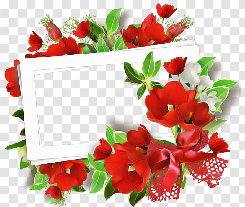 Flower Red Plant Cut Flowers Petal Transparent PNG