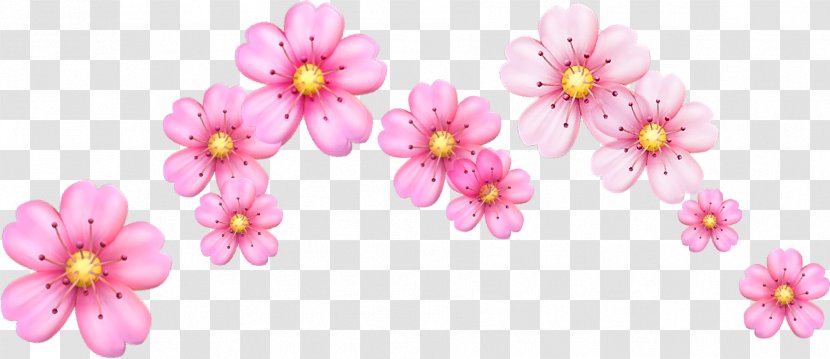 Cherry Blossom Emoji Flower Image - Pink - Crown Kiss Transparent PNG