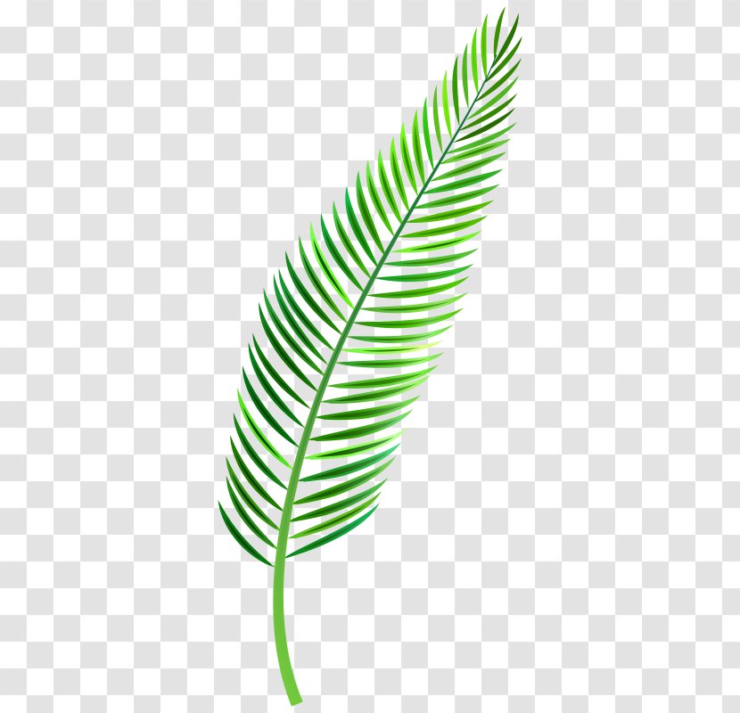 Clip Art Leaf Palm Trees Image - Silhouette Transparent PNG